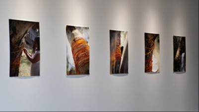 Photographic images hanging on exhibition walls