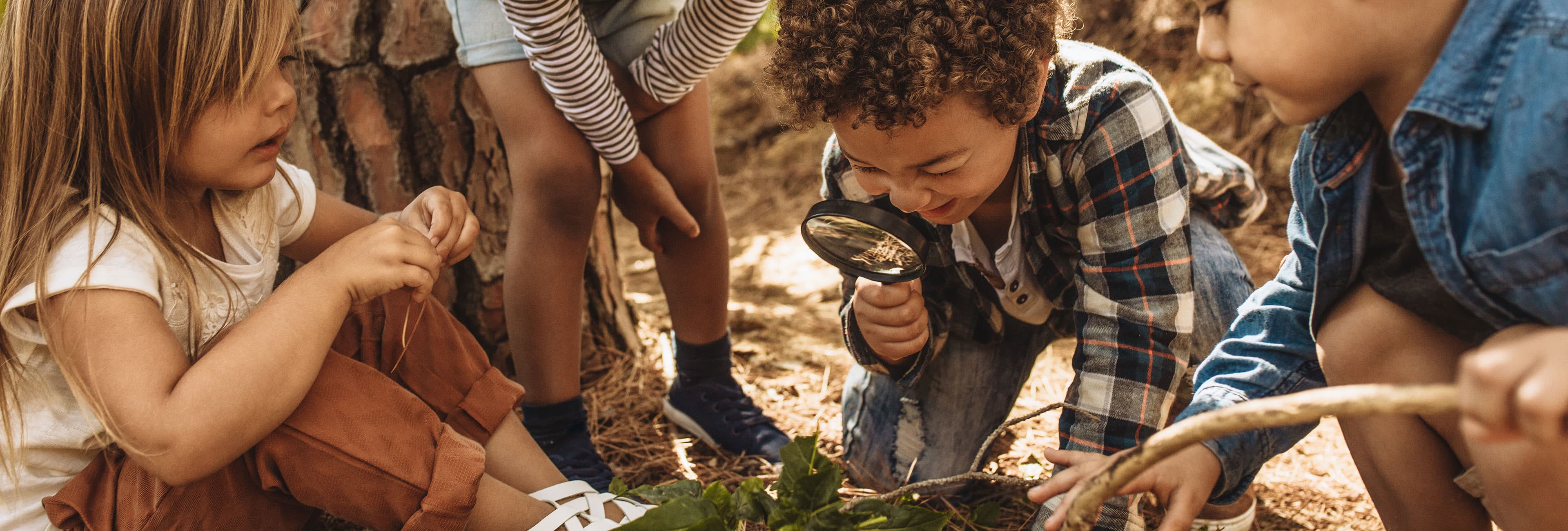 Children using magnifiying glass to examine leaves