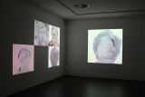 Projected images on gallery walls space