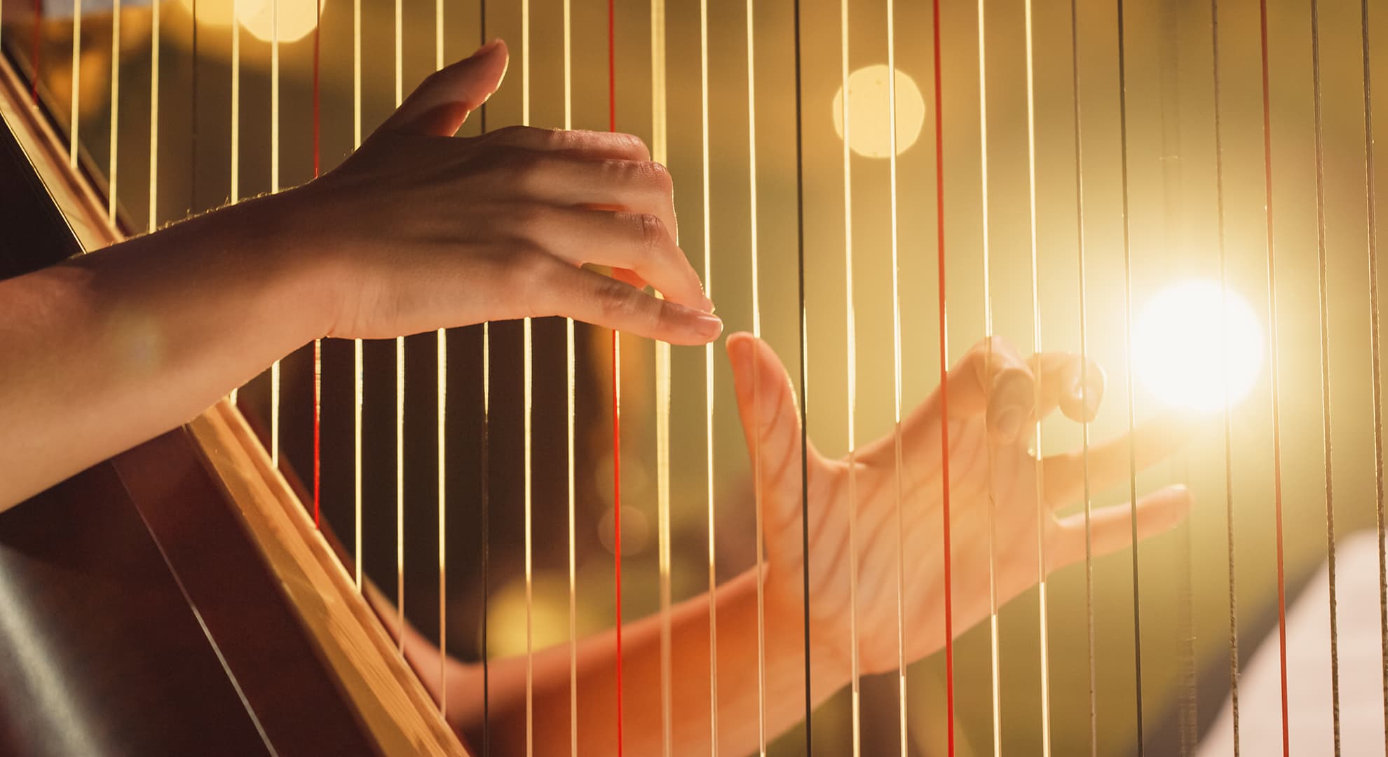 Musician playing a harp