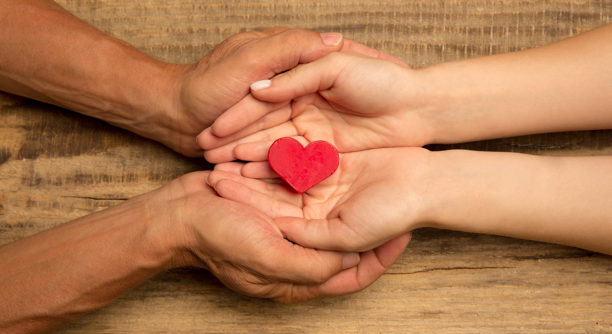 Hands holding a heart.