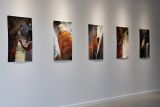 Photographic images hanging on exhibition walls