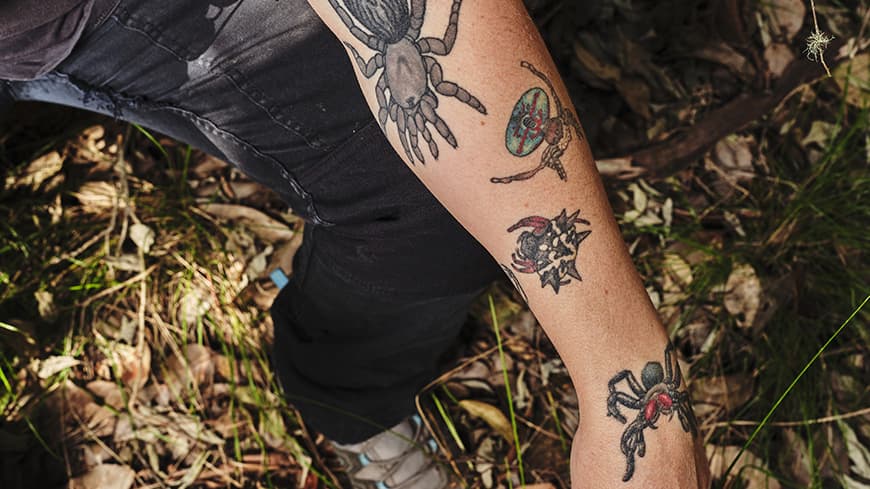 Arm with spider tatoos.