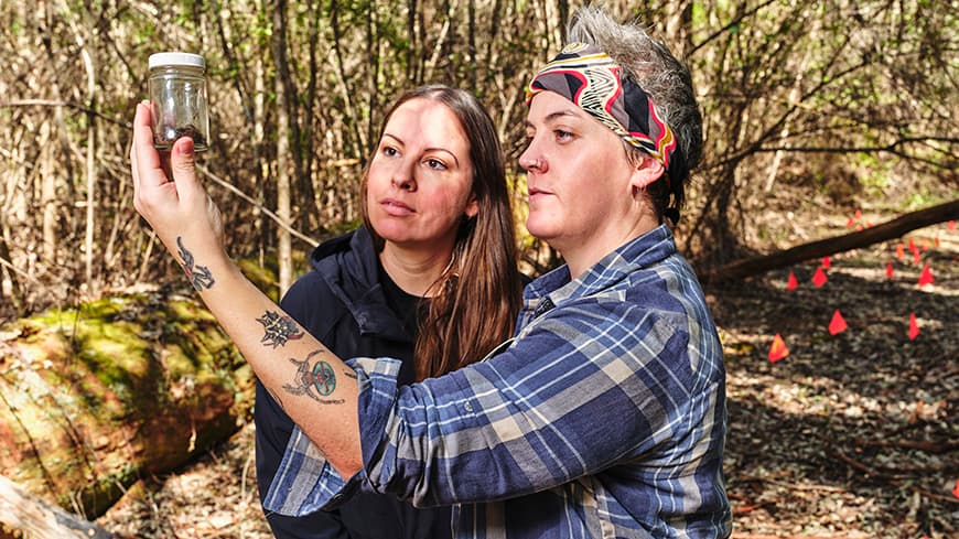 Two people in the bush looking at a spider in a jar.